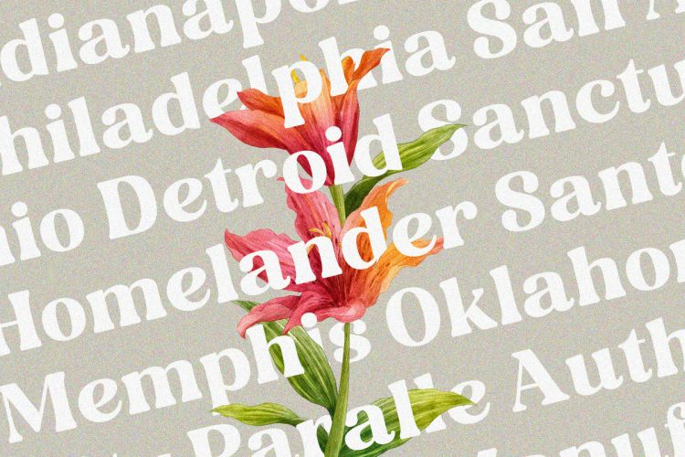 Editorial Display Serif Font