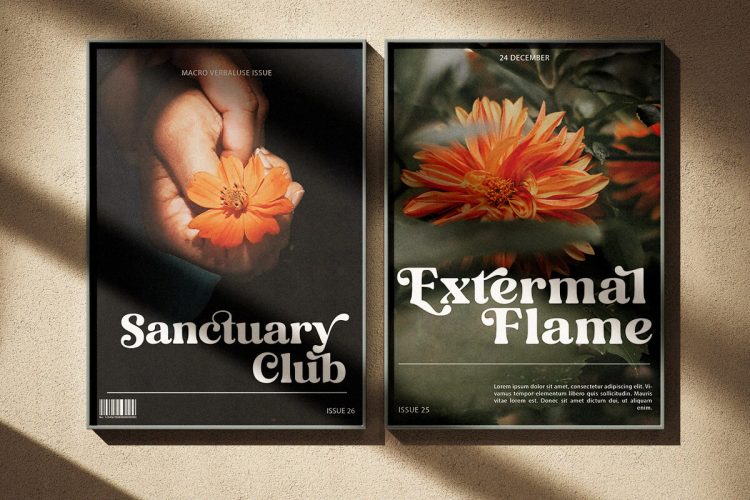 Editorial Display Serif Font