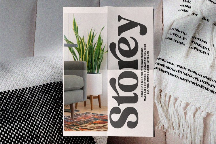 Editorial Display Serif Font