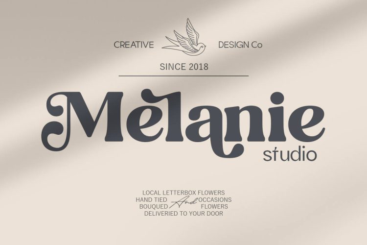 Editorial Display Serif Font