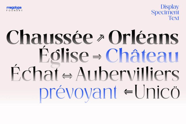 Serif Font Family
