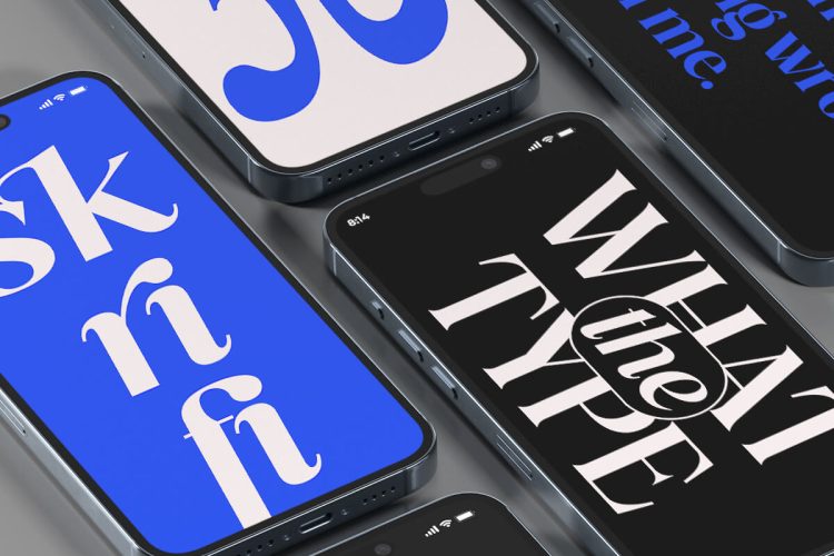 Serif Font Family