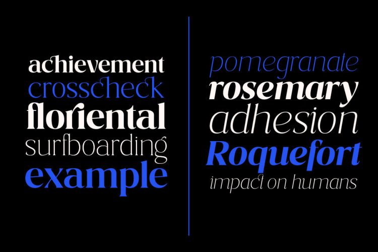 Serif Font Family
