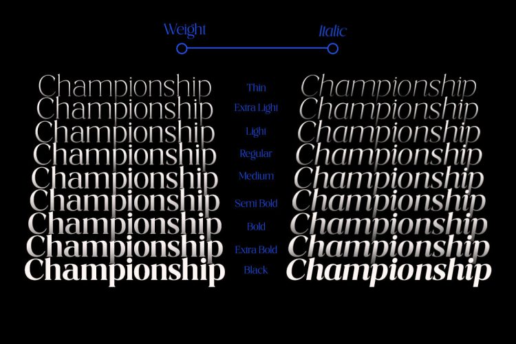Serif Font Family