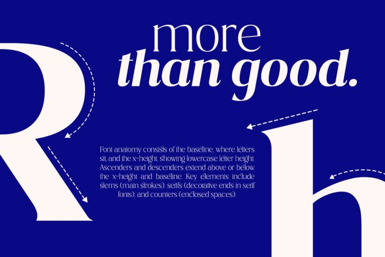Serif Font Family