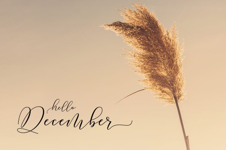 Script Font