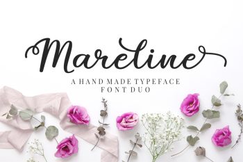 Script Font