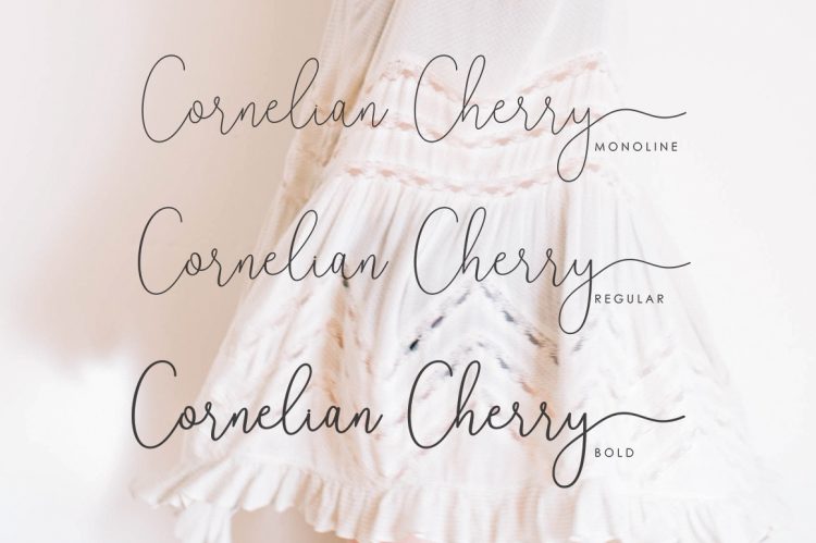 Script Font Signature