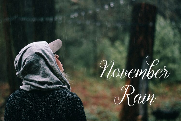 Script, Fonts