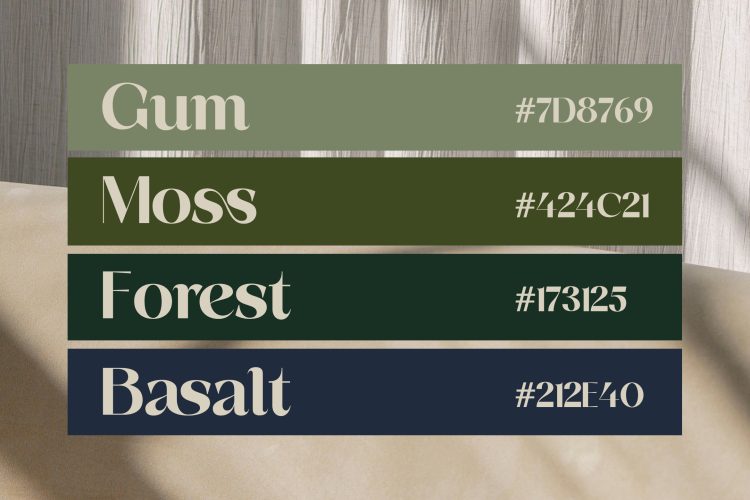 Sans Serif Display