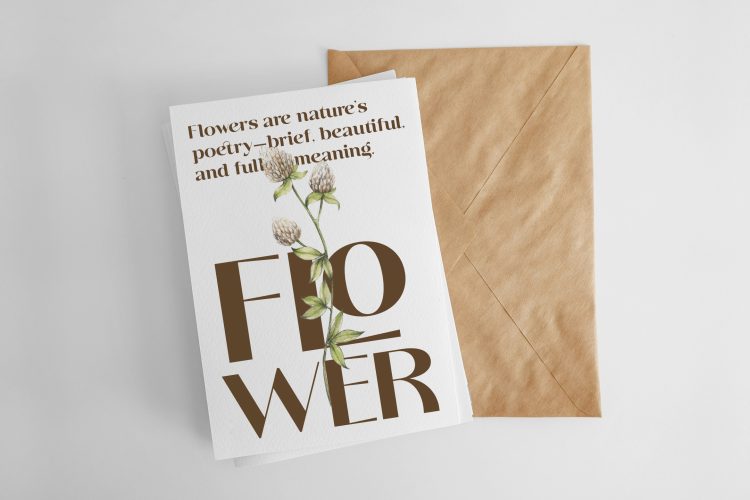 Sans Serif Display