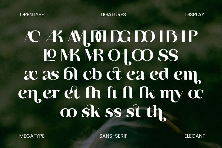 Sans Serif Display