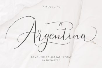 Script Font