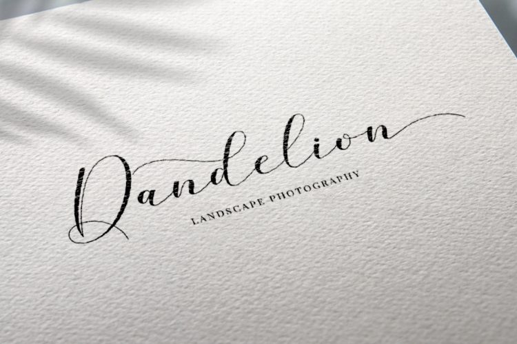 Script Font