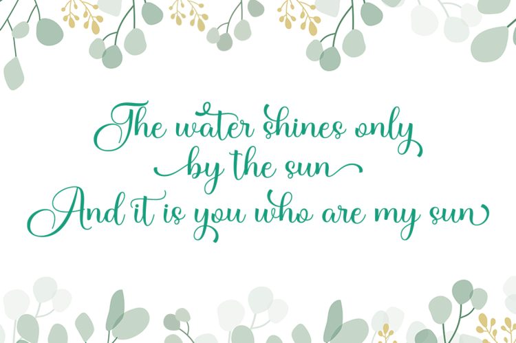 Modern Calligraphy Font