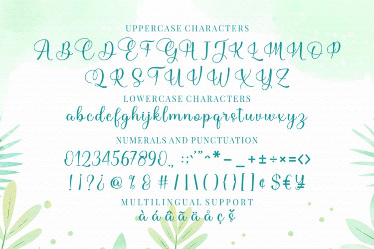 Modern Calligraphy Font