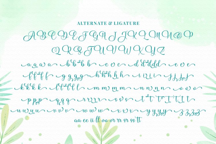 Modern Calligraphy Font