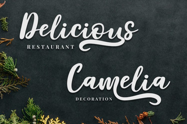 Script Font