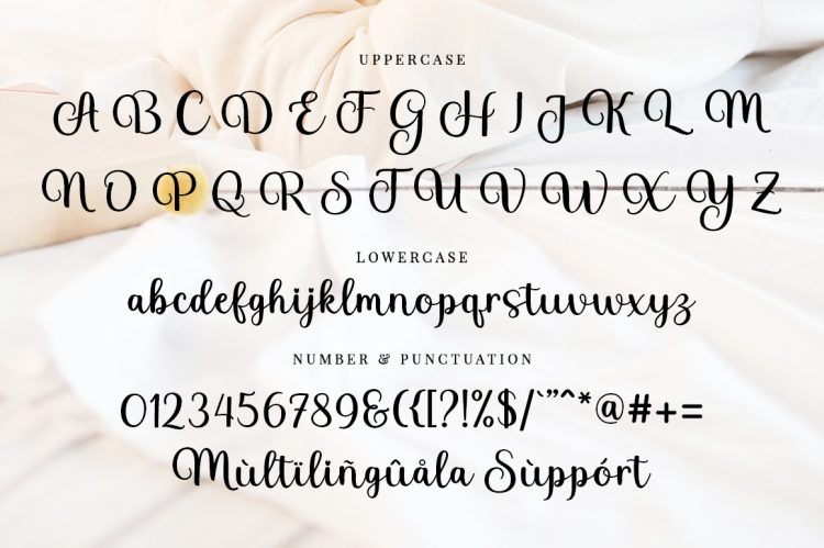 Script Font