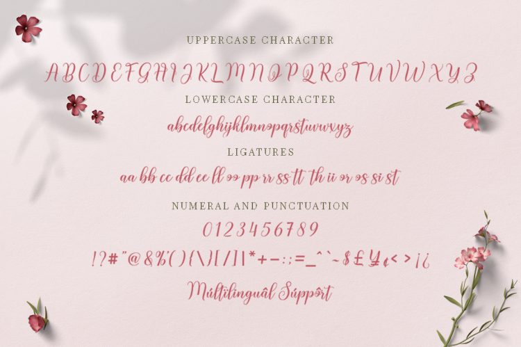 Script Font