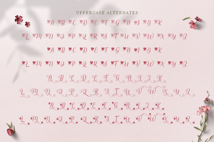 Script Font