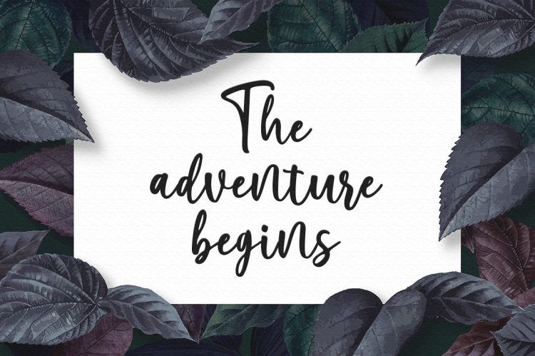 Script Font