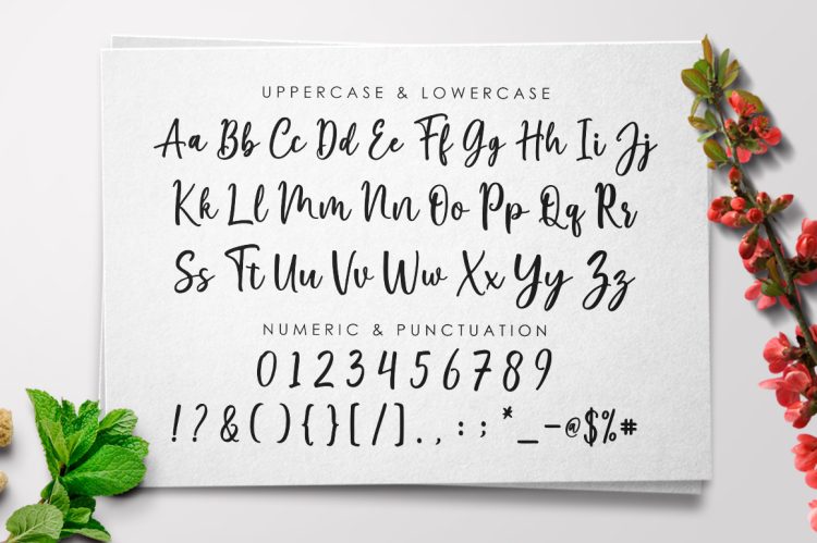 Script Font