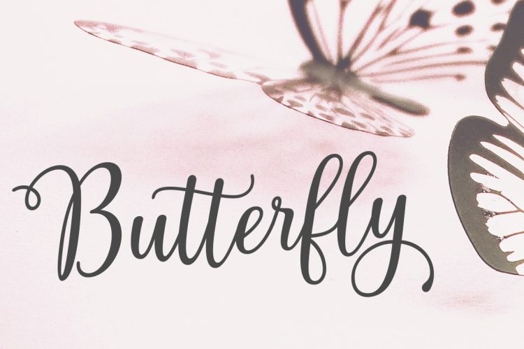 Script Font