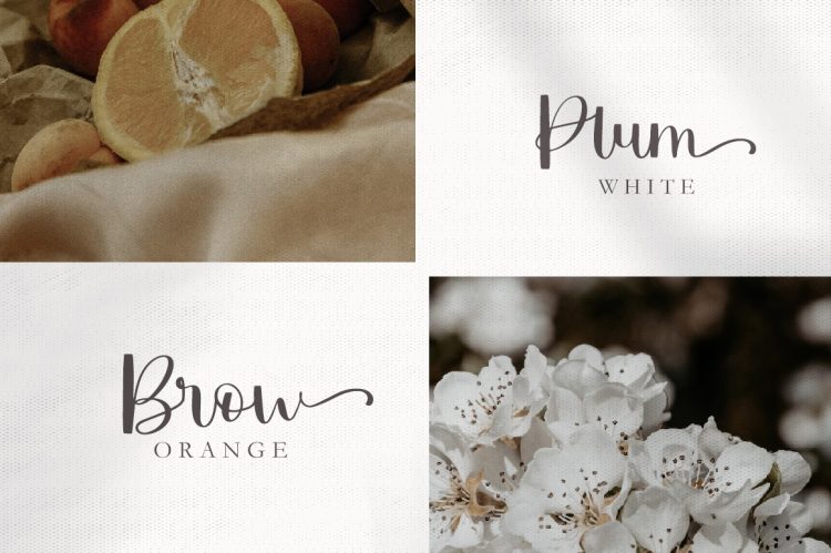 Script Font