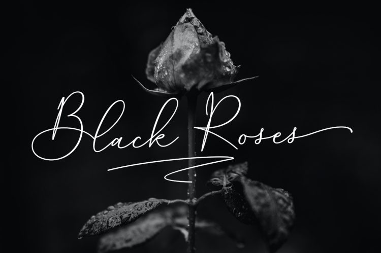 Script Font