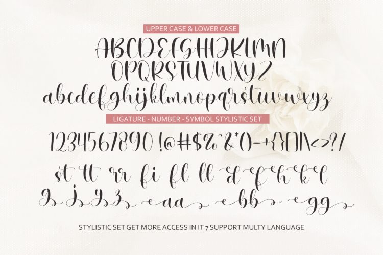 Script Font