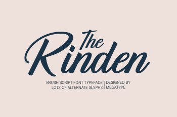 Brush Script Font Typeface