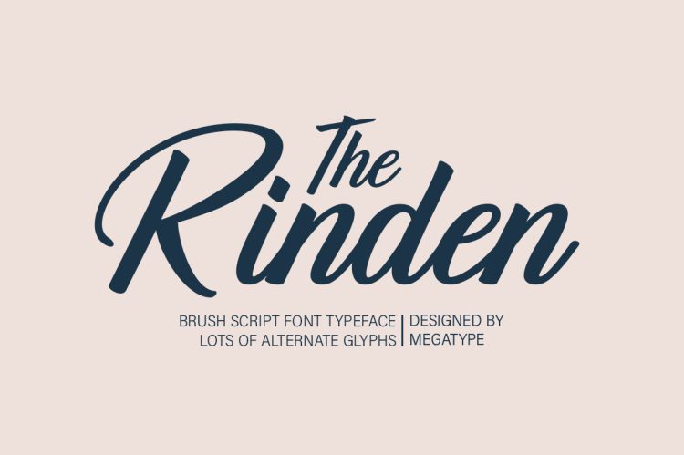 Brush Script Font Typeface