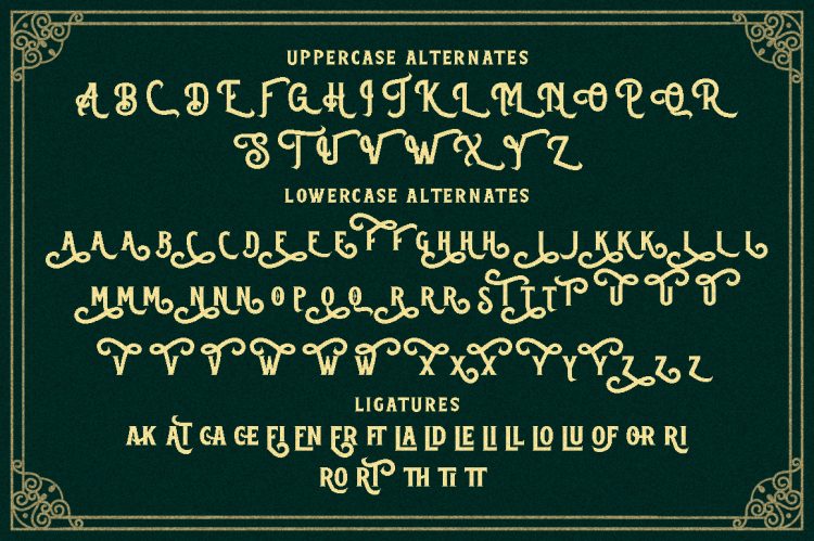 Serif Display Typeface