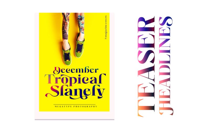 Serif Typeface