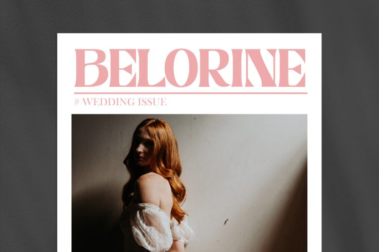 Elegant Serif Font