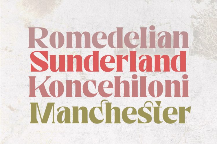 Elegant Serif Font