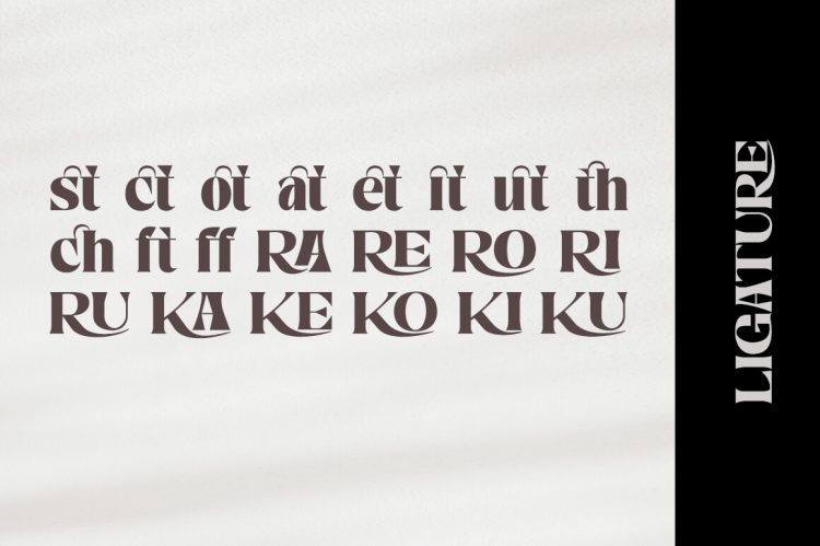 Elegant Serif Font