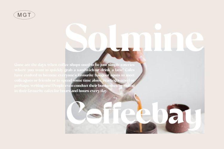 elegant serif font