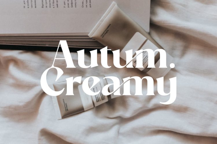 elegant serif font