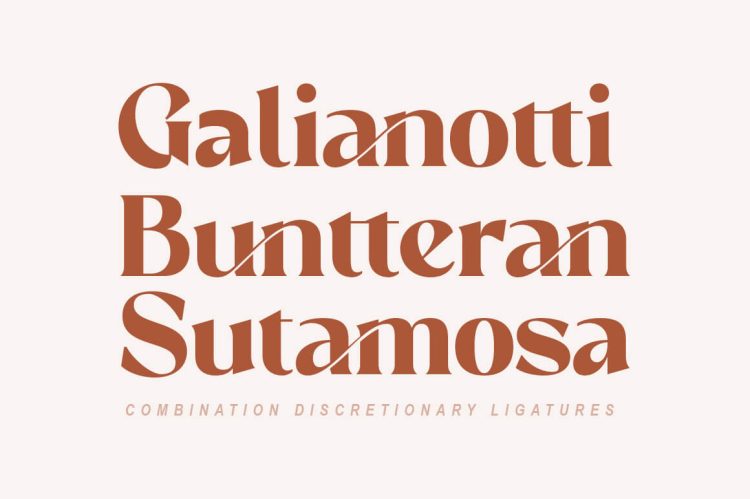 elegant serif font