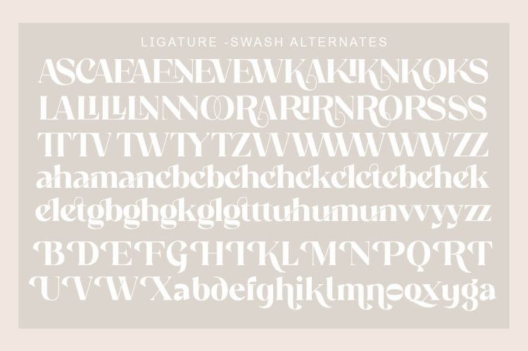 elegant serif font