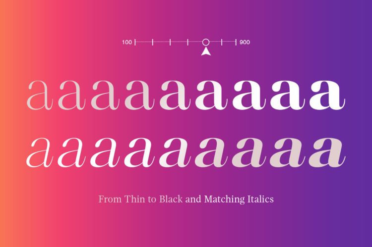 Serif Displat Font Family