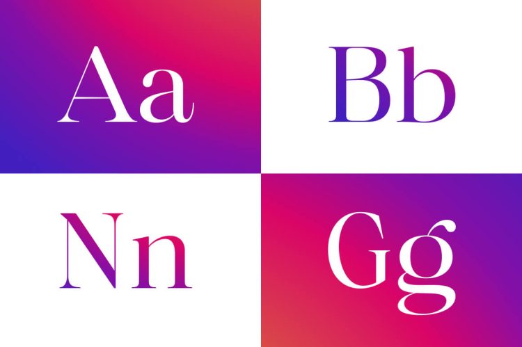 Serif Displat Font Family