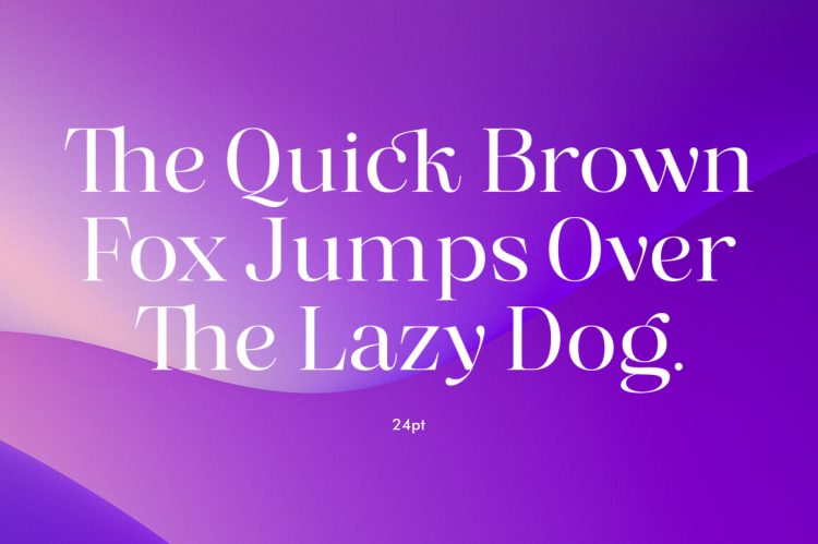 Serif Displat Font Family