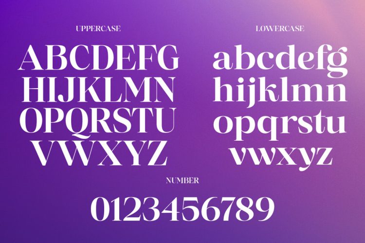 Serif Displat Font Family