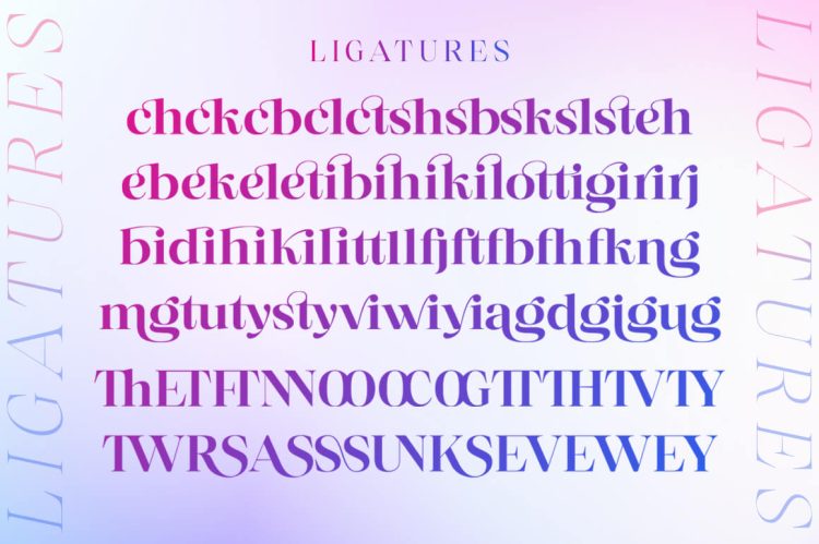 Serif Displat Font Family