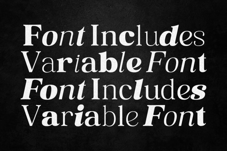 Serif Font Family