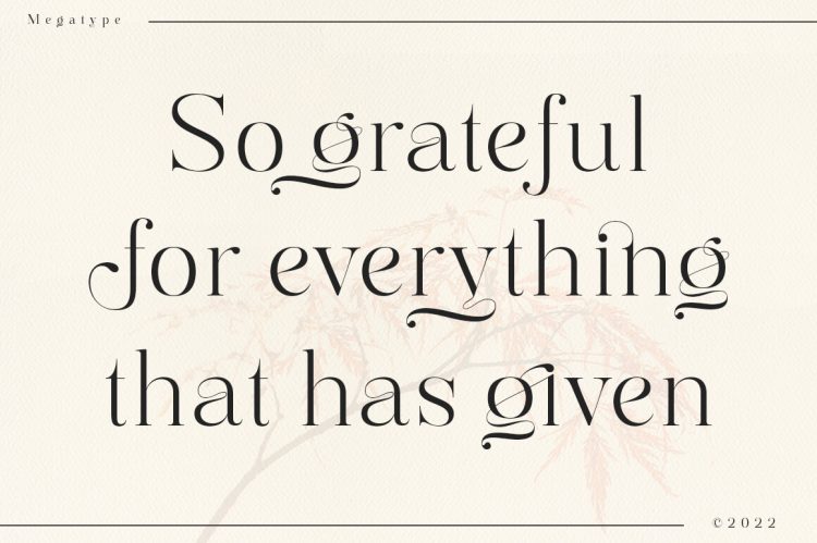 Serif Font Family