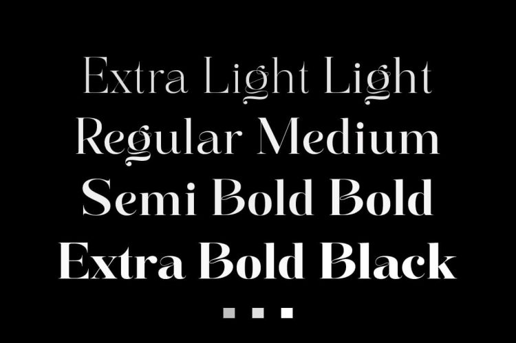 Serif Font Family